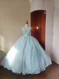 Stunning Prom Dress Light Blue V-neck Pleated Tulle Evening Dress Quinceanera Dress Ball Gown HZ0319