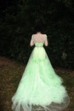 90s Retro Prom Dress Light Green Straps Pleated Tulle Gala Gown Evening Dress Party Outfits HZ0319