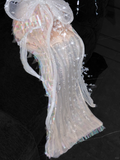 Vintage Sparkling Champagne Sequin Off-the-shoulder Sheath Elegant Chiffon Evening Dress Prom Dresses HZ0319