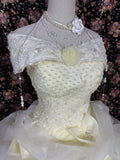 Cute Prom Dress Off Shoulder Ruffle Ball Gown Evening Dress Quinceanera Dress HZ0319