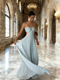 New Arrival Prom Dress Halter Pleated Birthday Party Dress Evening Dress HZ0319