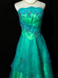 Newest Prom Dress A Line Strapless Tulle Cocktail Dress Evening Dress HZ0319