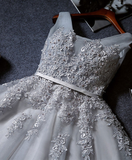 Vintage Gray Applique Design A-line Tulle Party Dress Homecoming Dress HZ0319