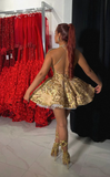 Sparkling Golden Sequin Embroidered Halter Dress Design A-line Applique Party Dresses Homecoming Dresses HZ0319