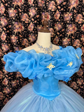 Retro Blue Off-the-shoulder A-Line Tulle Quinceanera Dresses Sweet 18 Birthday Ball Gowns, HZ0319